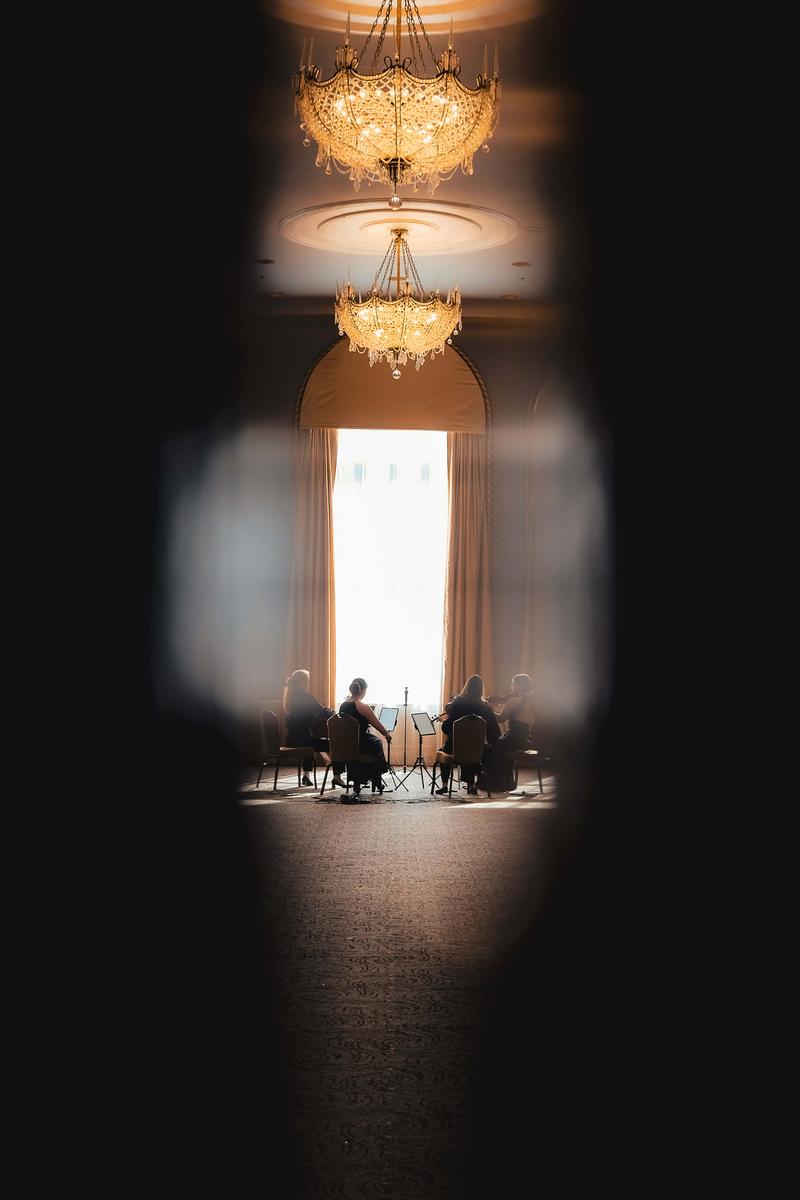 Wedding string quartet.